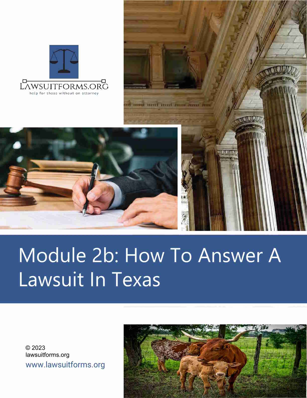 How to File a Petition in Court Without an Attorney